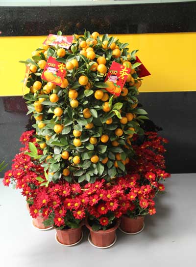 點(diǎn)擊瀏覽下一頁(yè)